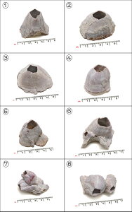 yCeApLkp[czVRtWc{ ^Cv 1-2 AeB[N ANAE