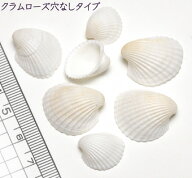 【小さな貝殻パーツ】クラムローズ アジアザルガイ お得パック 50枚入 穴あき 穴なし 2タイプ　ハンドメ…