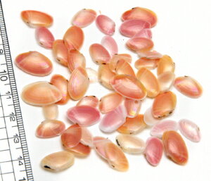 yV1ʊl!! yȊLkp[czTNKC@L@L