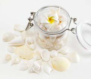 yV1ʊl!! zCgVF ANrl VF{g@LkƃqgfƃvÃZbg