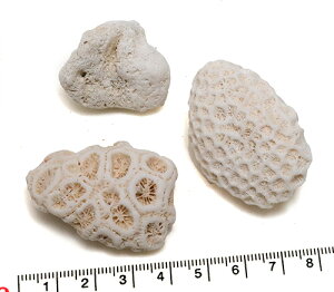 yLkp[cz X 3pbN eڐ ʐ^i