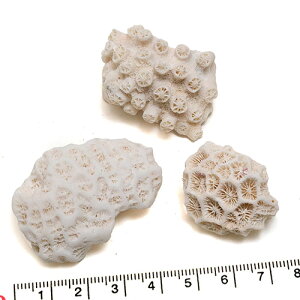 yLkp[cz X 3pbN eڐ ʐ^i