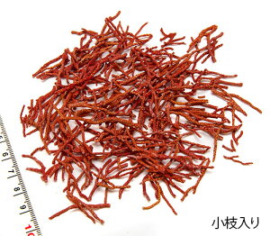 yV1ʊlIIyLkp[czC\oî C 10g@}