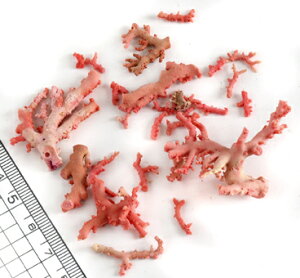 yVR΁z[C} ԃTS 2g gFX i` gX ԎX }p[c