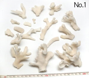 yLkp[cz }X ܂Ƃ߂ĂpbN ʐ^i No.1