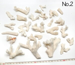 yLkp[cz }X ܂Ƃ߂ĂpbN ʐ^i No.2