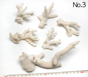 yLkp[cz }X ܂Ƃ߂ĂpbN ʐ^i No.3