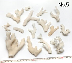 yLkp[cz }X ܂Ƃ߂ĂpbN ʐ^i No.5