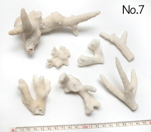 yLkp[cz }X ܂Ƃ߂ĂpbN ʐ^i No.7