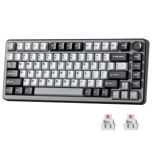 RT75 ���s�b�h�g���K�[ �L�[�{�[�h �p��z�� ���J�j�J�� TKL �Q�[�~���O ���C�X�C�b�` RGB �L�� USB �R���p�N�g 75%�z��m�u�t��PBT �L�[�L���b�v ���߉\�쓮 YUNZII ��������