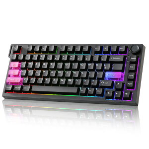 RT75 PRO ���C�����X�Q�[�~���O�L�[�{�[�h ���s�b�h�g���K�[�L�[�{�[�h �z�[������ ���J�j�J�� ���C�X�C�b�` �p��z�� Bluetooth USB-C 2.4G�ڑ� �f���A��8KHz�|�[�����O���[�g��128K�X�L���� ������