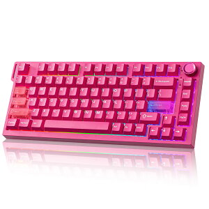 RT75 PRO ���C�����X�Q�[�~���O�L�[�{�[�h ���s�b�h�g���K�[�L�[�{�[�h �z�[������ ���J�j�J�� ���C�X�C�b�` �p��z�� Bluetooth USB-C 2.4G�ڑ� �f���A��8KHz�|�[�����O���[�g��128K�X�L���� ������