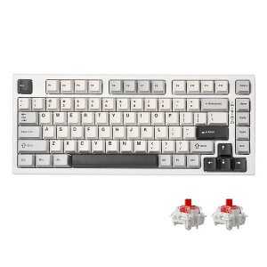 YZ75 75% �z�b�g�X���b�v�Ή����C�����X�Q�[�~���O�L�[�{�[�h �p��z�� RGB�o�b�N���C�g BT5.0 2.4G USB-C�ADye Sub PBT�L�[�L���b�v Linux Win Mac�p �Z�K�F�؎擾 YUNZII ��������