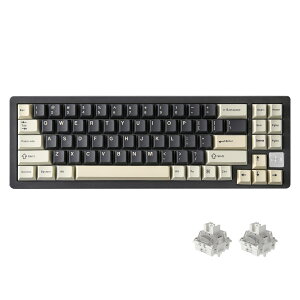 AL71 ���J�j�J���L�[�{�[�h �p��z�� 68% �R���p�N�g �t���A���~CNC���H �K�X�P�b�g�\�� �O���[�h�ڑ� �z�b�g�X���b�v�Ή� NKRO RGB�o�b�N���C�g Win Mac���Ή� �Z�K�F�؍ς� �v���[���g�Ή� YUNZII 