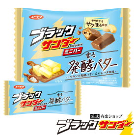 【公式】 ブラックサンダーミニバー 香る発酵バター バター チョコ チョコレート プチギフト プレゼント スイーツ お菓子 スナック 個包装 大量 景品 会社 2024 父の日