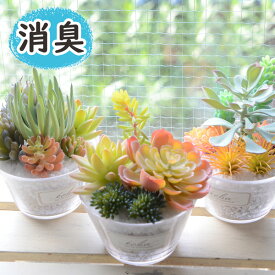 楽天市場 トイレ 消臭 花 ガーデン Diy の通販