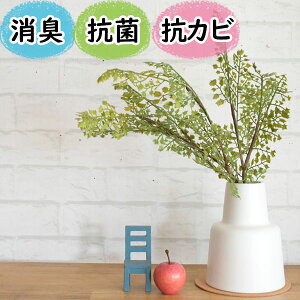 G}֗ȁwCTG}tFCNO[ AWA^|bgLTCYx(  L C hL h R  A CeA  |bg gC   lHϗtA