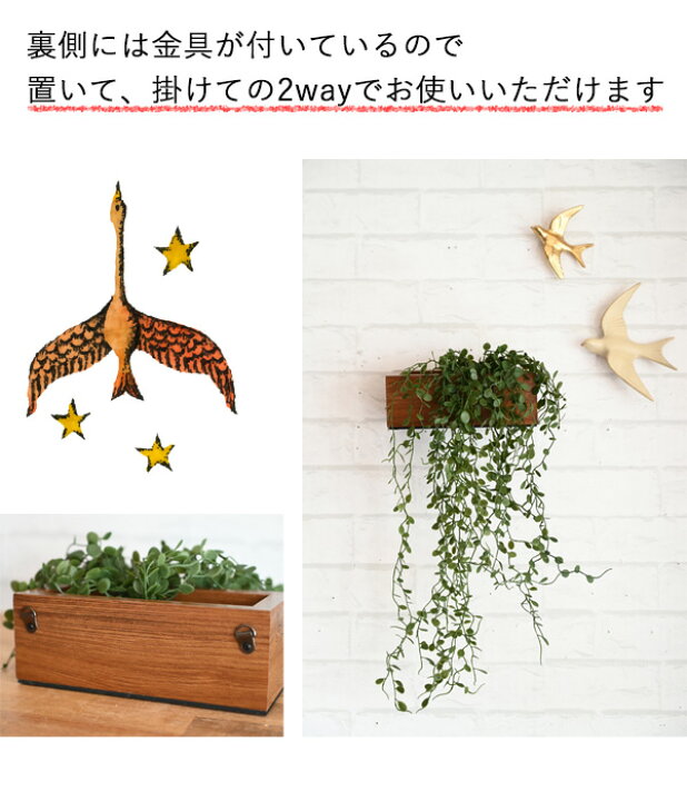 楽天市場】光触媒より便利『CT触媒フェイクグリーン エクリアコンテナ  