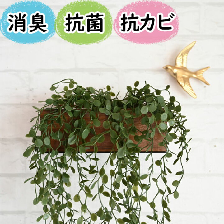 楽天市場】光触媒より便利『CT触媒フェイクグリーン エクリアコンテナ  