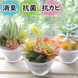 G}֗ȁwCTG}tFCNO[ GNApXeLxi  ~j L C hL h R  A CeA KXr A 񂹐A gC   lH