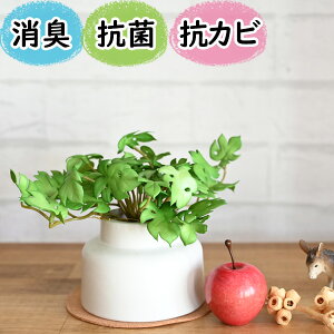 G}֗ȁwCTG}tFCNO[@~jXe|bgMTCYx (  ~j L C hL h R  A CeA  |bg gC   u