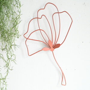 wEH[fR[Vt[ zxǏ   Ǖt  ǖ CeA  G fBXvC }XRbg EH[fR[V EH[IuWF  t r