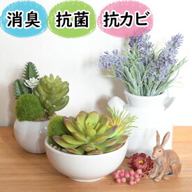 光触媒より便利な『CT触媒フェイクグリーン 3個セット』卓上 ミニ 消臭 空気清浄 防臭 防汚 抗菌 おしゃれ リアル インテリア 鉢 ポット 多肉植物 ラベンダー トイレ 玄関 造花 置物 雑貨 人工観葉植物 アーティフィシャルグリーン プレゼント おすすめ