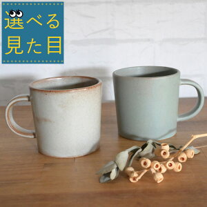 X[p[Z[ʌ艿iIׂ錩 wX^WIG 퐻}OJbv BUNAiuijxR[q[Jbv   X^WIM studio m' { H@Ή dqWΉ g