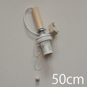 \Pbg1R[h50cm@@( Ɩ \Pbg  Cg dC d LEDΉ dʔ R[h { ؐ ؏ t  R[h |V[OΉ PSE 100W y_gp ݂艺 