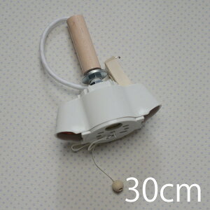 \Pbg2R[h30cm@( Ɩ \Pbg  Cg dC d LEDΉ dʔ _؂ւ R[h { ؐ ؏ t  R[h |V[OΉ PSE 100W y_g