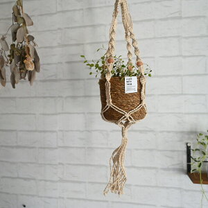 w}NnMO|bgS[NAxiv^[Jo[ Ǌ| nMO ݂艺 v^[  |bg  Aؔ [   K[fjO VRf i` CeAj