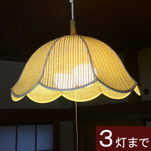 y Ɩ VF[ĥ zw avVF[h i|IBE a51cm x( Ɩ dC d P a a X HX Z[h LED p Cp 芷  g { )