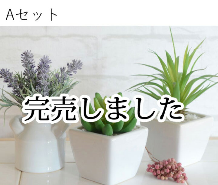楽天市場】＊新セット発売開始。光触媒より便利な『CT触媒フェイク  