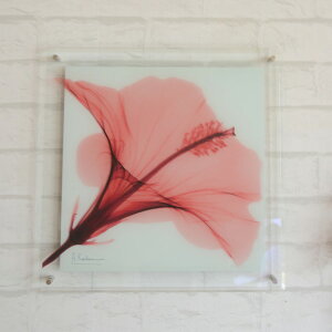 X[p[Z[wX RAY KXA[g@bhnCrXJXLTCYx( A[gpl ԕ EH[fR fR[V  G A[g  Ǌ| rO  CeA 