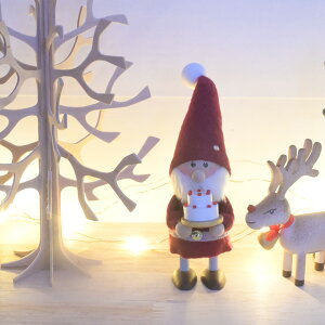 mfBJjbZ 2025 VwmfBJjbZ20NLOi ʌxP[LT^i T^N[X l`mfBJjbZ NORDIKA nisse T^ u k NX}X  l` 