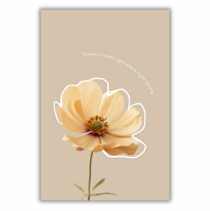 uflowers bloom right place right timingv |X^[@|XgJ[h@~j|X^[@͂@ԁ@F@ʐ^@p@p@CeA@k@؍@A[g@@i`@Vv  