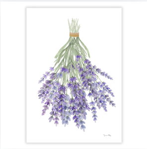 �uLavender�v�|�X�^�[�@�|�X�g�J�[�h�@�~�j�|�X�^�[�@�͂����@�C���e���A�@�������@�k���@�؍��@�W�F�@�����݃J���[�@���@�j���A���X �ԁ@���x���_�[�@�u�[�P�@�ԑ��@���ց@���r���O�@
