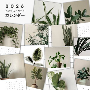 2026N@J_[@12@|X^[@|XgJ[h@~j|X^[@Ǌ|@@CeA@k@؍@CO@@킢@ԁ@~U@zԁ@NX}X@CXg@A
