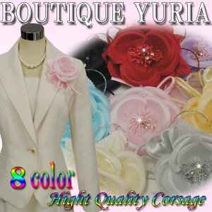  w  ʂȓfGɉo  傫߂ȃJRT[W I[KW[ 8FWJ 񎟉 ӉyyΉz