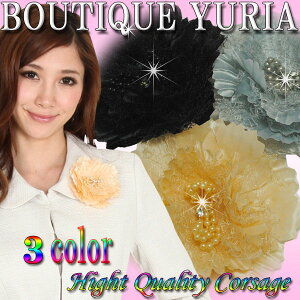 yzEwEƎE  ؂ȓfGɉo r[Yg̑fGȂԂ̃RT[W 3FWJ@ɂ 񎟉 Ӊ ܎O {Q epX[cE}}X