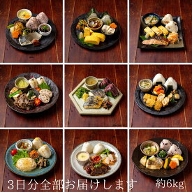 京おばんざい 3日分―9種類のセット。おかず 45種類は保存料 無添加 惣菜 冷凍 の おそうざい が レンチン で簡単 京野菜 など 野菜多め 煮魚 焼魚 等 おすすめ 惣菜 産後 に限らず 疲労回復 や 生活習慣病予防 に 出産祝 御歳暮 プレゼント 好適品 忙しい 共働き 家庭に