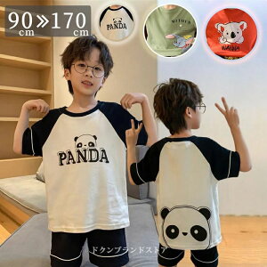 100 LbY pW} ㉺Zbg [EFA qp ėp t  Zp Y{ Ԃ j̎q V[g V[gpc   p_ ct w WjA 킢 