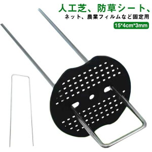 蕨 s R^s lH UsY hV[g s U^s _Ɨplbg }` 15cm _ tbN^t  Œp