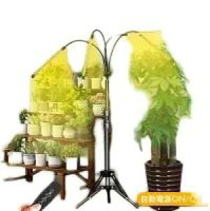 A琬Cg LED X^h4 ^C}[ Or A琬LED usb ϗtA琬Cg ACg A琬 gtXyNg 10Ki 80LEDv z 4wbht ͔|Cg k