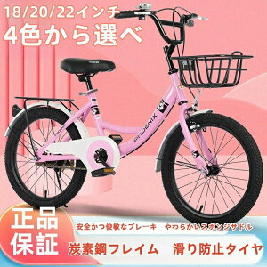 yVozqp ] 16-20C` { w j̎q ̎q 6 7 8 9 10 11121314 15΂qlg AEgbg v[gt X|[cAEghA ʊw X 2Nۏ