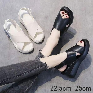 RtH[gT_ fB[X V[Y C q[ T_ T_ RtH[gV[Y  i[XV[Y EFbWT_ EFbW\[ xg Xgbv 傫