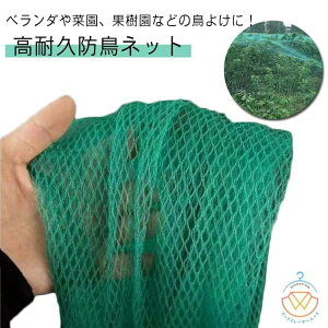 hlbg ʎ 悯lbg ؉ x_悯lbg h 1×20m 2×10m 3×5m 4×5m 悯 h _앨 c ʎ  x_ S~u ng JX qh XY    ΍ 