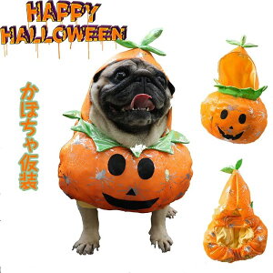 nEB ߑ L  ڂ̌ ڂ 킢 Lϐg ϐg ϐg ʐ^B肨낢 hbO hbOEFA ybgp R