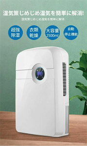 梅雨 静音作業 省エネ パワフル 室内物干し 湿気 衣類乾燥除湿機 小型 衣類乾燥 部屋干し 除湿器 ペルチェ式 コンパクト