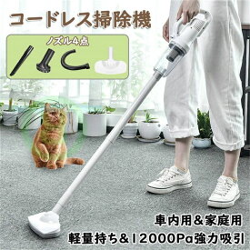 ノズル クリーナー 便利 軽量 コードレス 掃除機 3種類ノズル コードレス 掃除機 ハンディークリーナー